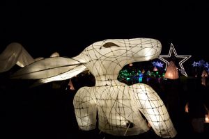 bradford lantern parade 2015 21 sm.jpg